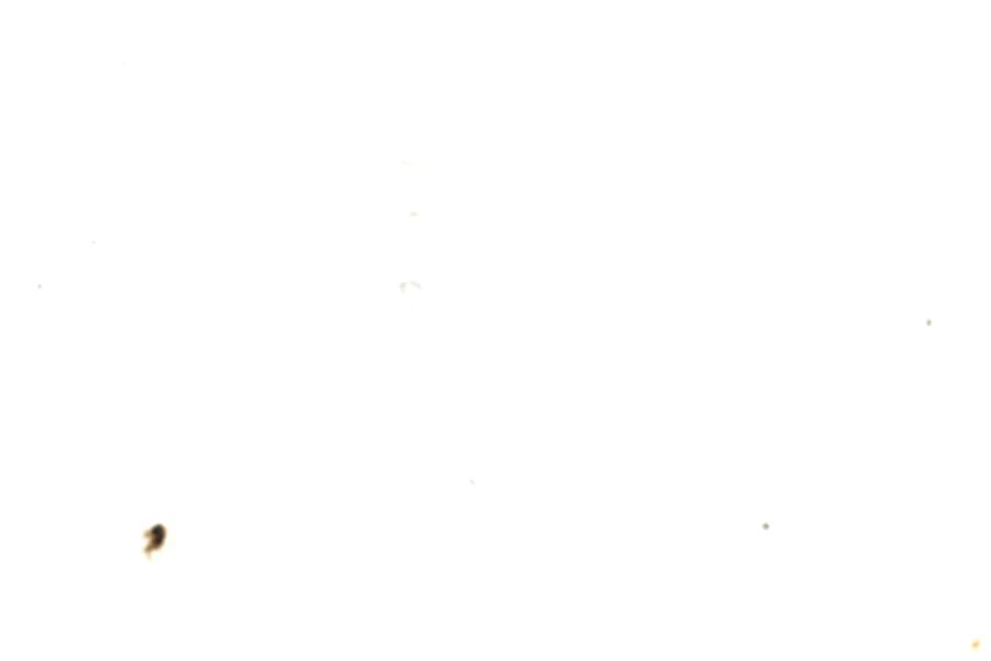 Image 100